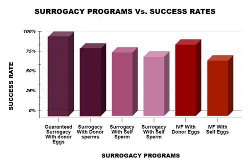 surrogacy success rate